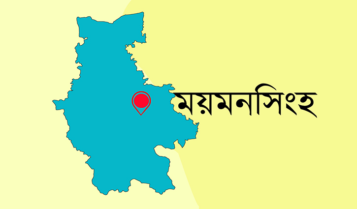 ময়মনসিংহে বাস-অটোরিকশা সংঘর্ষে নিহত ৭