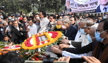 ভাস্কর্য নিয়ে প্রশ্ন এড়িয়ে যান মির্জা ফখরুল