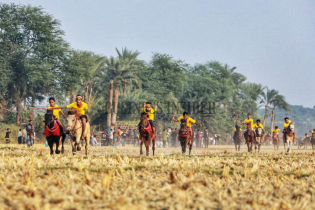 আইচগাতীতে ঘোড়দৌড় প্রতিযোগিতা