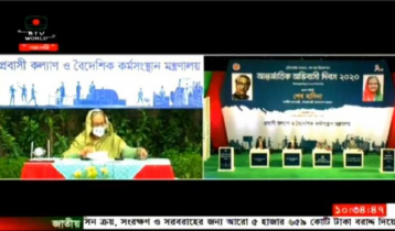 হতাশ না হয়ে নিজের দেশে কাজ করেন: প্রবাসীদের প্রধানমন্ত্রী