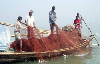 জাটকা ধরা বন্ধে জেলেদের জন্য ২৬ হাজার টন চাল বরাদ্দ