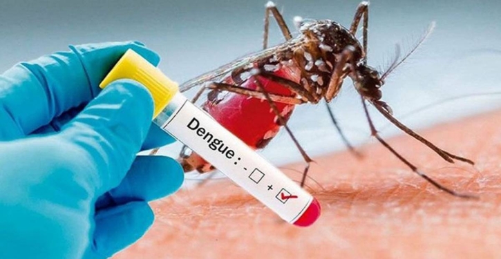 One more dies from dengue