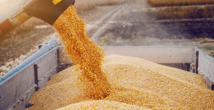 PM directs import of additional food grains