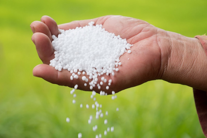 Govt to procure 80,000mt of urea