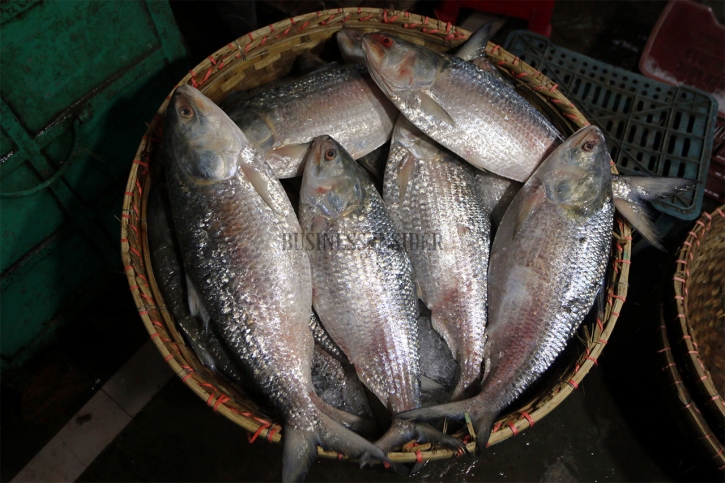 Life cycle of hilsa affected due to pollution, climate change: Experts