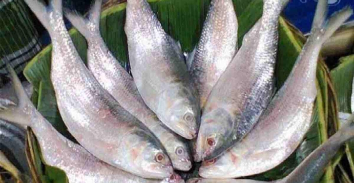 Petition challenges legality of hilsa export