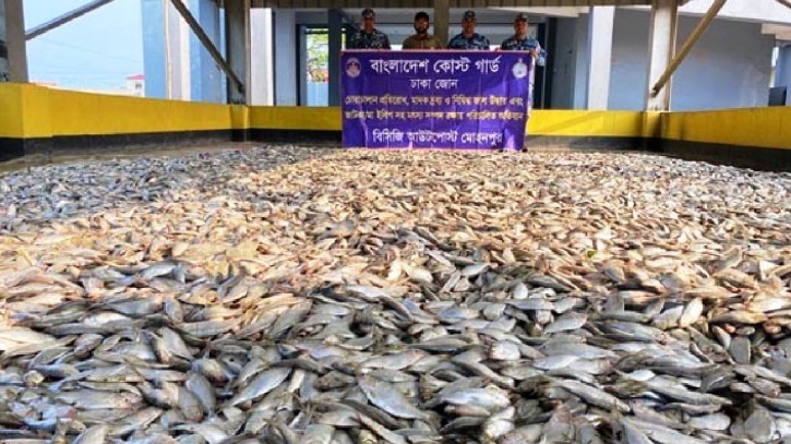 200 maunds of Jatka seized from 5 trawlers in Meghna