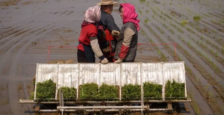 North Korea food crisis looms behind displays of military prowess