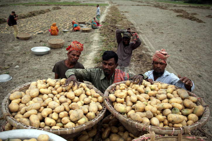 Russia lifts restrictions on potato export from Bangladesh