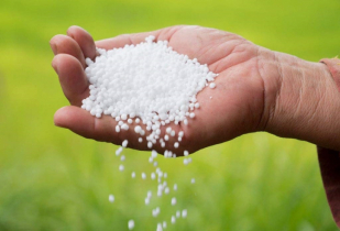 Govt to import 80,000 tonnes of urea fertiliser