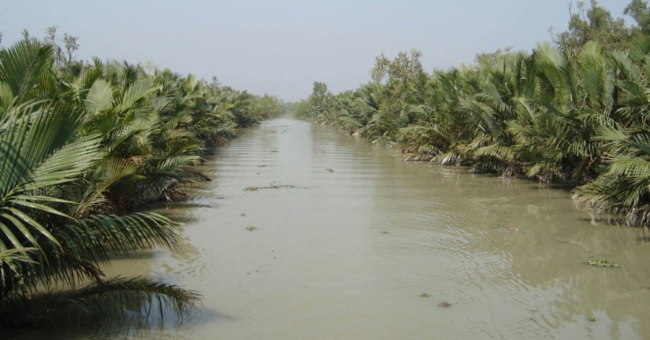 4 more eco-tourism centres to be opened in Sundarbans