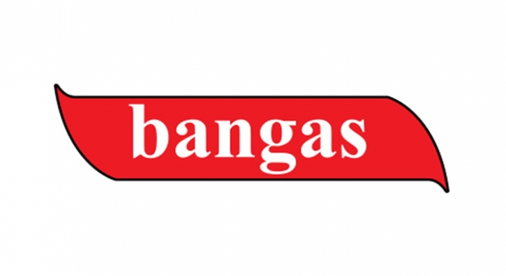 Q3 earnings of Bangas drop