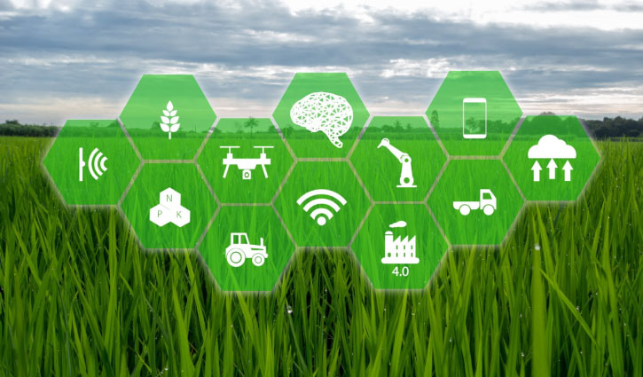 Webinar stresses digital innovation to boost agro production