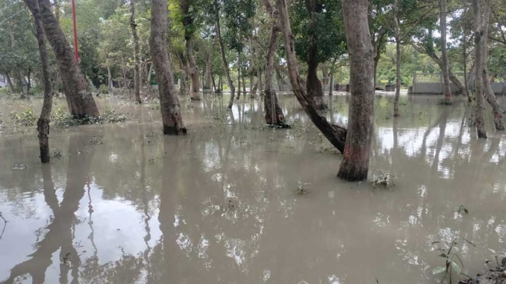 Tidal surge inundates parts of the Sundarbans