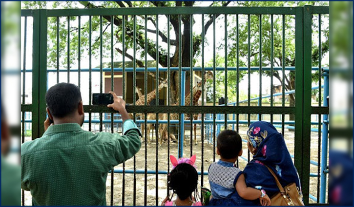 Dhaka, Rangpur zoos announced closure to contain Covid surge