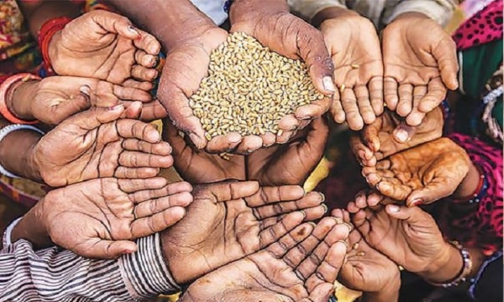 WTO, FAO, WBG calls for G20 coordination to address causes of food insecurity