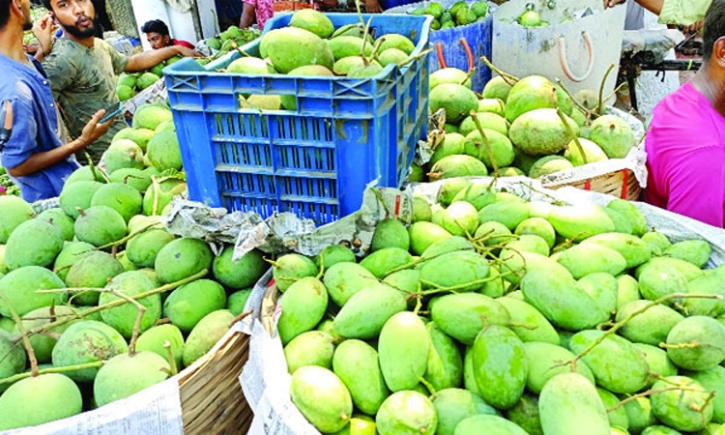 চলতি মৌসুমে ইউরোপে যাচ্ছে সাতক্ষীরার আম