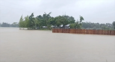 ধলাই নদীর বাঁধে ভাঙন নিম্নাঞ্চল প্লাবিত