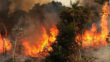 ক্যালিফোর্নিয়ায় সর্বকালের ভয়াবহ দাবানল ছড়িয়ে পড়েছে