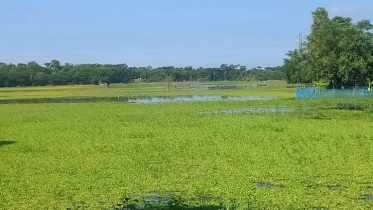 বন্যায় ফসলের ক্ষতি ৩,৩৪৬ কোটি টাকা