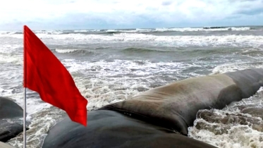 ঘূর্ণিঝড় ’রেমাল’, পায়রা ও মোংলা সমুদ্রবন্দরে ১০ নম্বর মহাবিপদ সংকেত