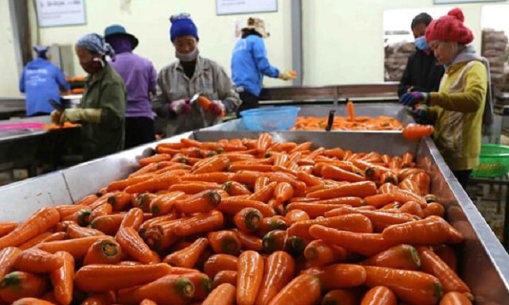 Vietnam’s vegetable exports set to surpass $1bn by 2030