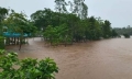 Floods grips Sylhet, Sunamganj, Netrokona prolonging sufferings to people