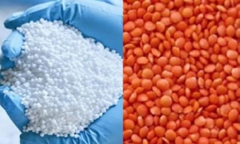 Govt to procure 90,000 MTs of fertilizer, 20,000 tonnes of lentil