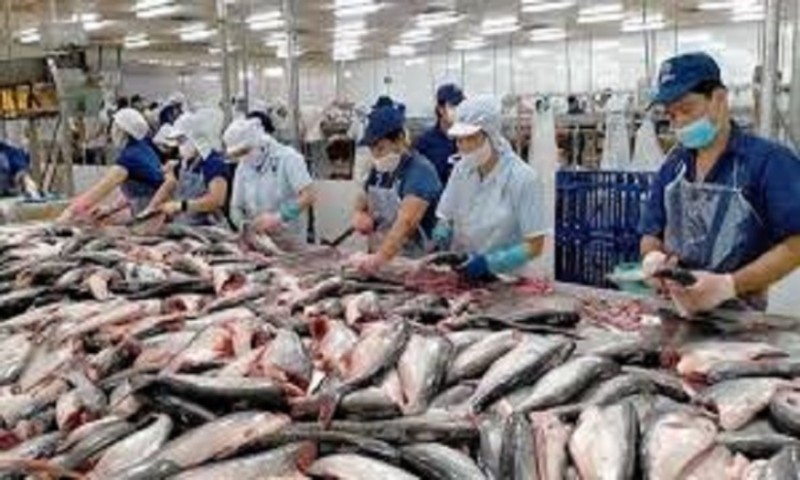 Country earns Tk 4,500cr revenue by exporting fish: Nazrul