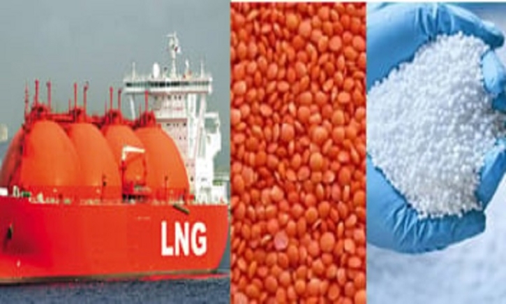 Govt to procure 1 cargo LNG, 1 lakh tonnes fertilizer, 6,000 MTs lentil