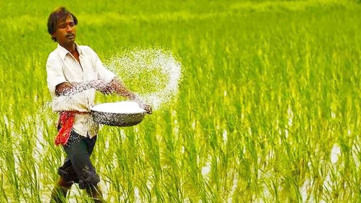 ৪৯৮ কোটি টাকার সার আমদানি করবে সরকার