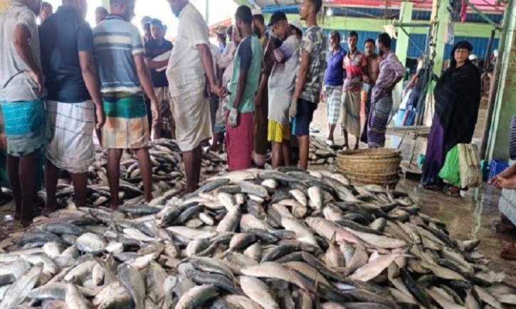 Decision on hilsa export to India taken for greater interest: Salehuddin