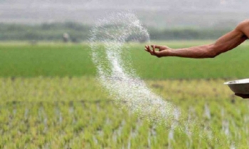 Govt to import 60,000 tonnes urea fertiliser from Saudi Arabia, Qatar