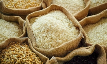 Govt to import 400,000 tonnes wheat, 200,000 tonnes rice