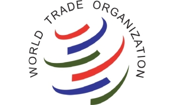 WTO says trade alone won’t bridge gap between economies