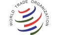 WTO says trade alone won’t bridge gap between economies