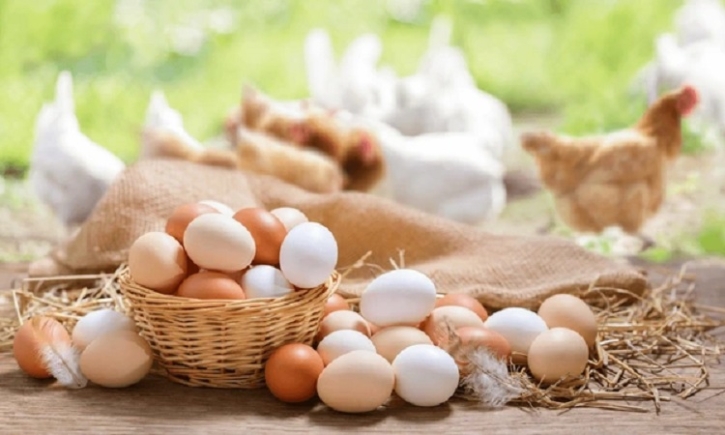 Farida for ensuring eggs, poultry at affordable price