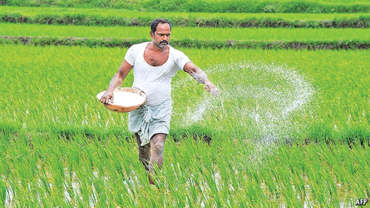 কৃষিতে ঋণ বিতরণ কমেছে ১০ শতাংশ